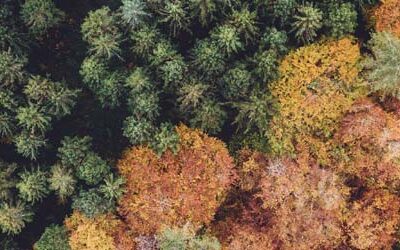 Électronique et environnement : une industrie plus vertueuse est-elle possible ?